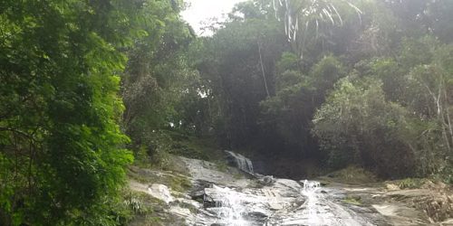 Tijuca National Park Rio de Janeiro Brazil Tijuca National Park Rio de Janeiro Brazil